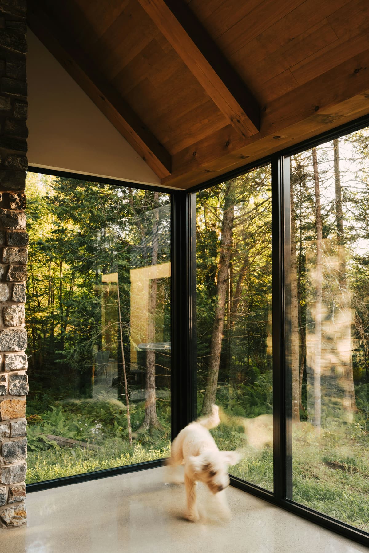 Atelier Apertura di Corsica